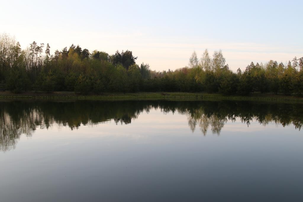 Viesu Maja Forrest Villa Dzimtmisa Buitenkant foto