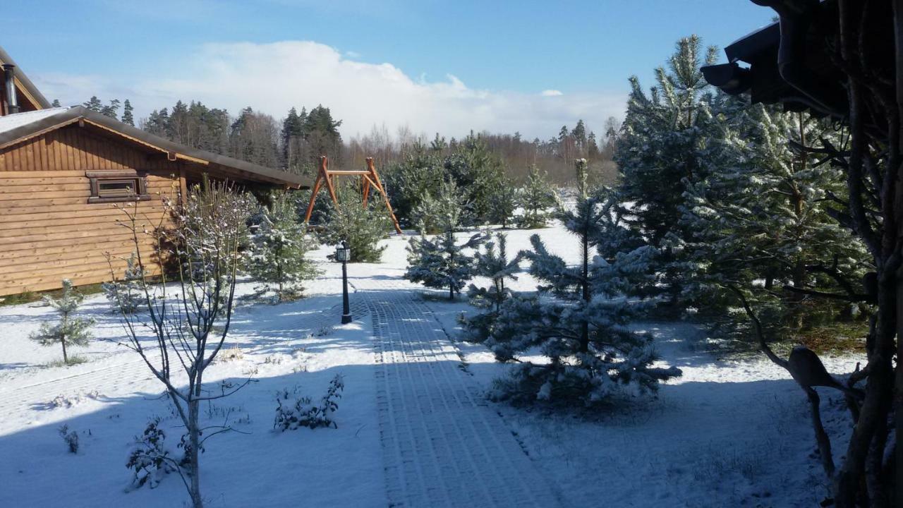 Viesu Maja Forrest Villa Dzimtmisa Buitenkant foto